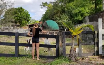 51880964_10212813411387160_7694553121896267776_n