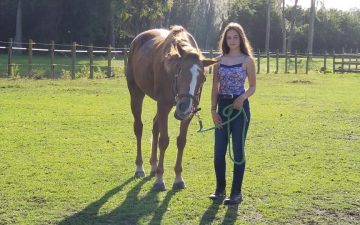 52599010_10212900529085048_1056471781977620480_n