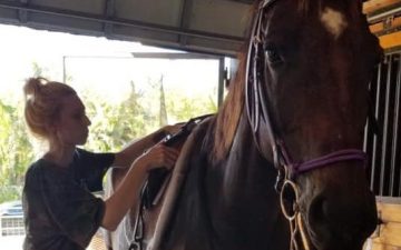 74340450_110516720381653_7322125100226969600_n