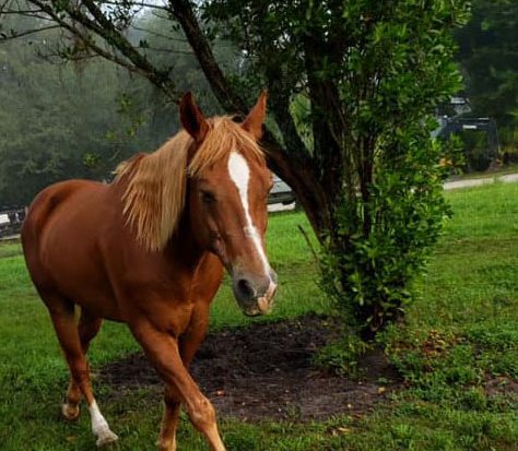 74677094_110492017050790_1205285952038109184_n