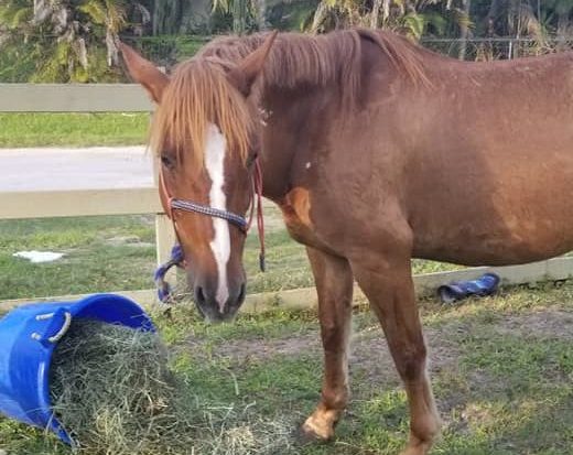 74951489_115526433214015_8417961103580987392_n