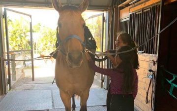 78472004_10156855710232916_738008568388648960_n