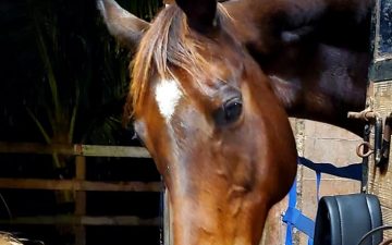 82241876_10214828239236597_4493127277332135936_n