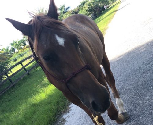 Photo Jan 13, 11 06 51 AM