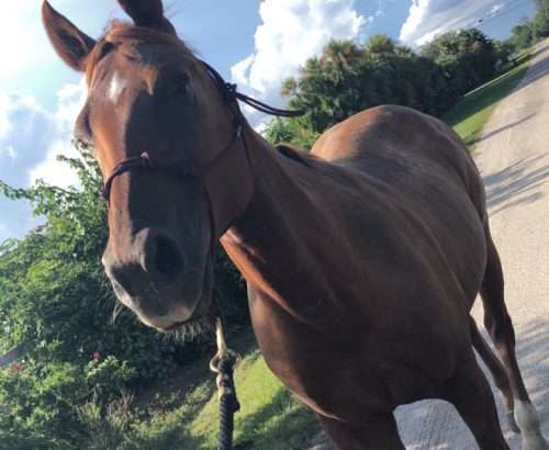 Photo Jan 13, 11 06 55 AM