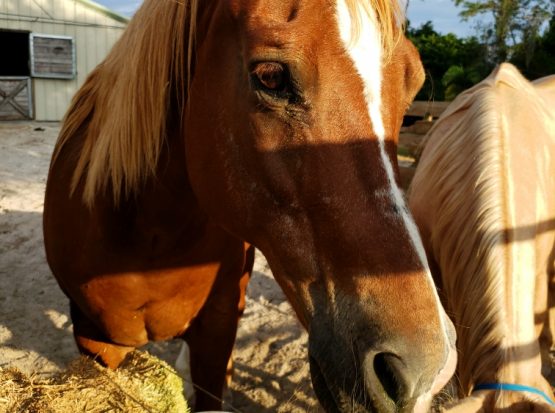 Photo Jan 13, 11 07 42 AM