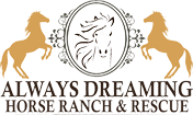 Always Dreaming Horse Ranch and Rescue
