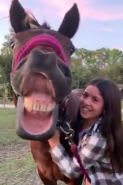 Screen Shot 2020-02-27 at 9.07.54 PM